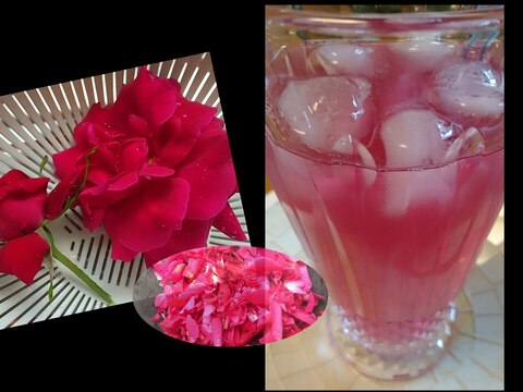 『無農薬で育った食用薔薇』で作る薔薇の炭酸ジュース